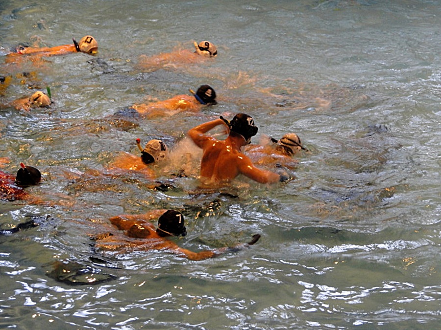 Hokej pod wodą Walenie Hydra XII 2012